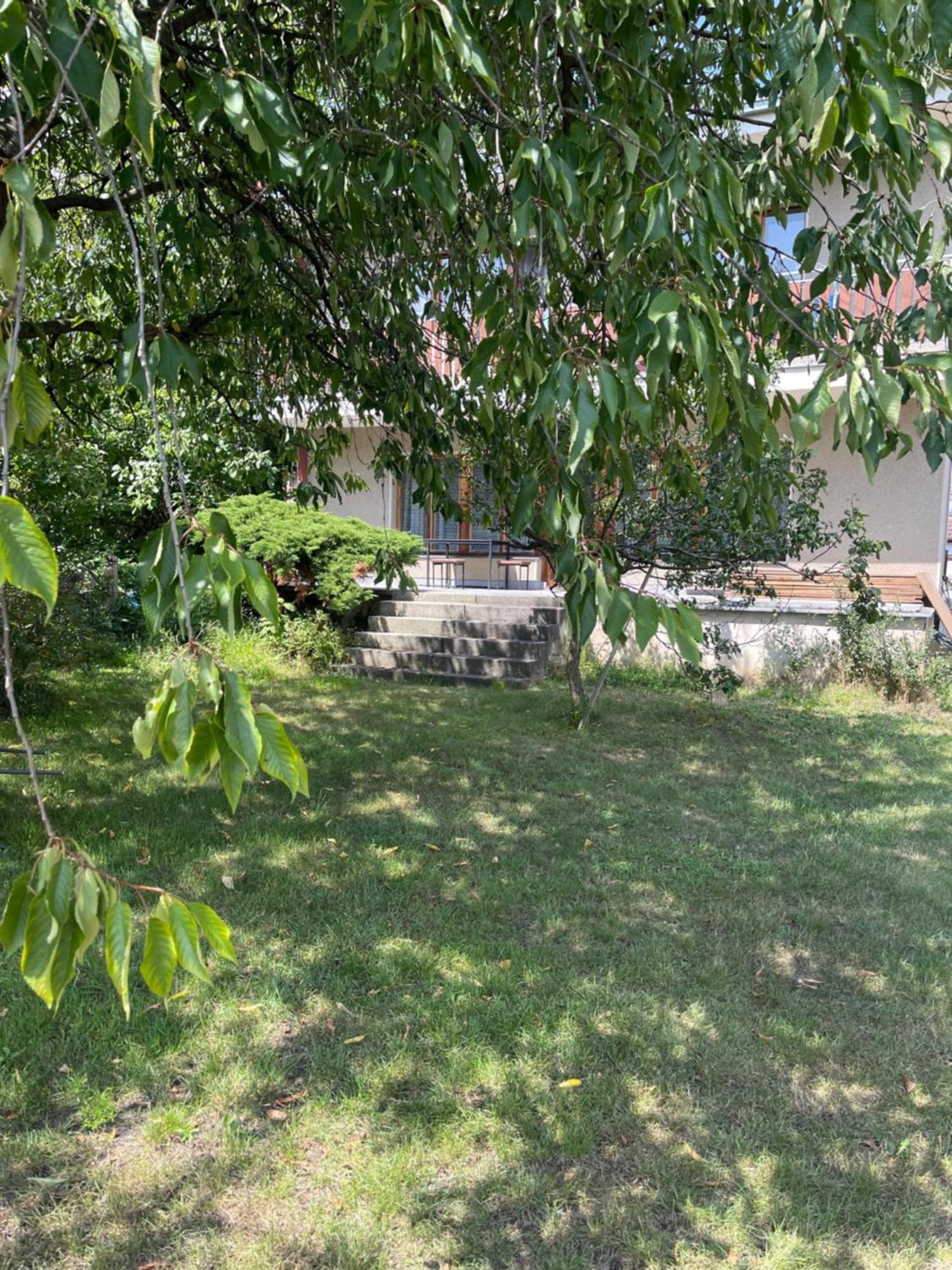 Apartment S Terasou Lysa Lysa nad Labem Exterior photo