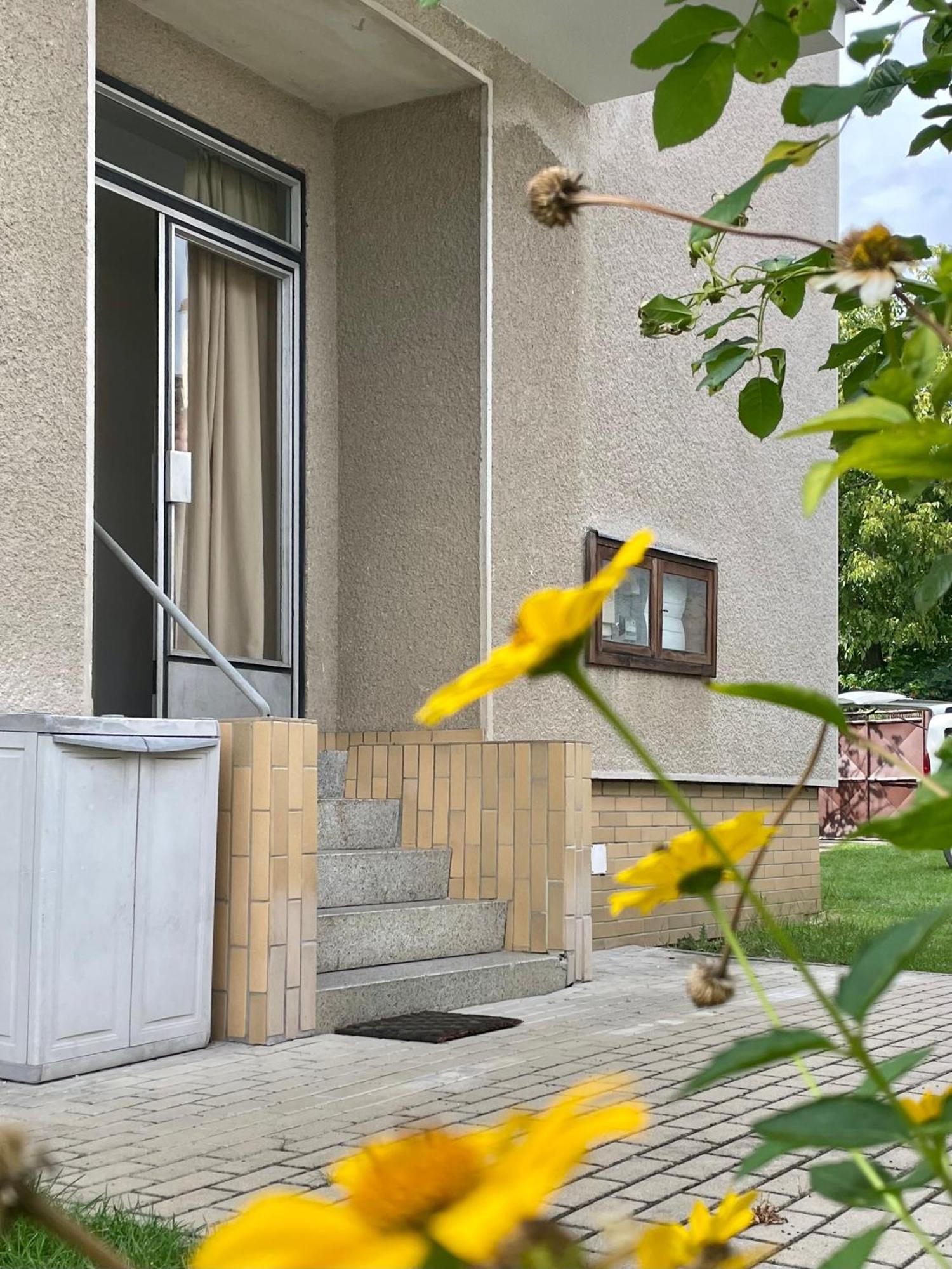 Apartment S Terasou Lysa Lysa nad Labem Exterior photo