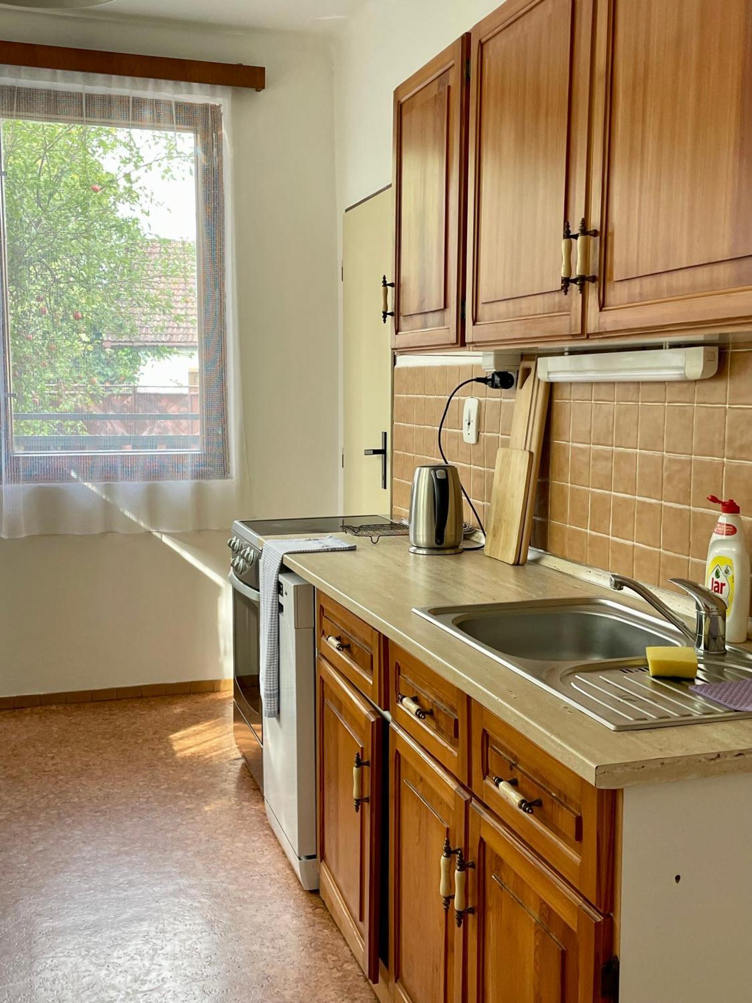 Apartment S Terasou Lysa Lysa nad Labem Exterior photo